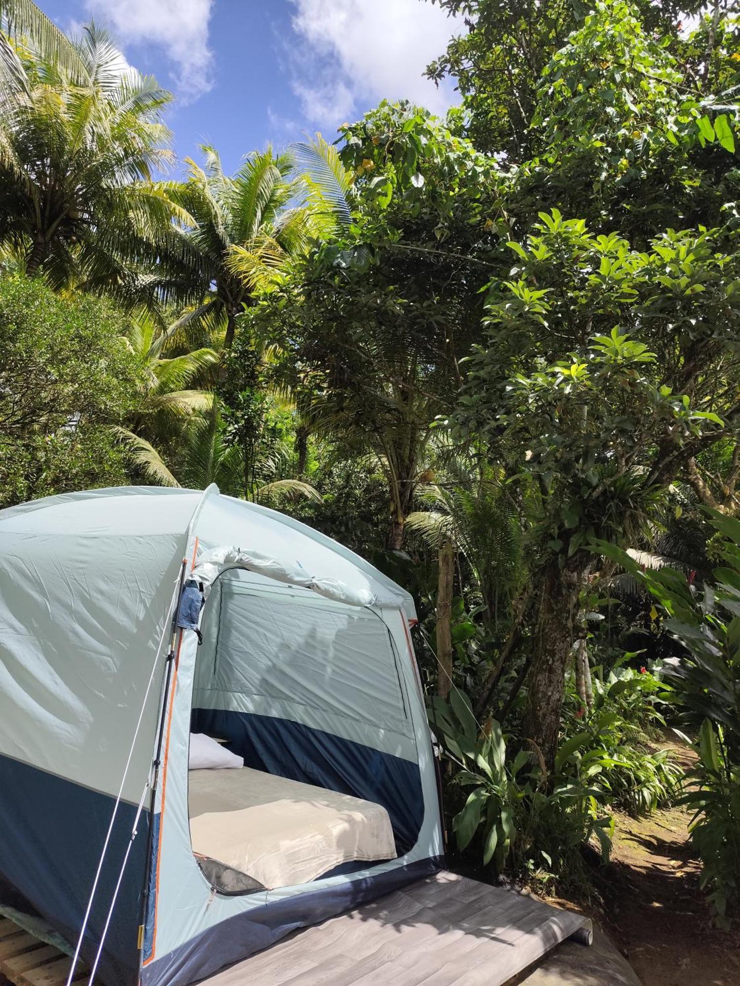 Camping A La Ferme Gros-Morne Екстер'єр фото