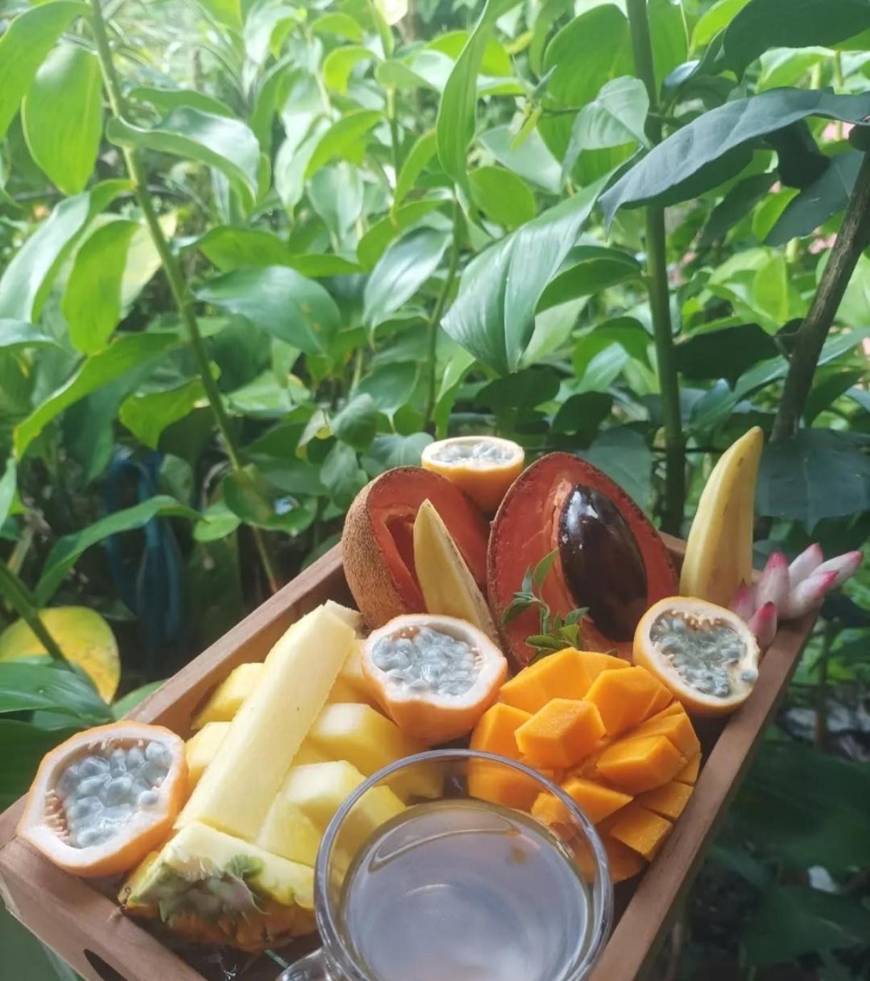 Camping A La Ferme Gros-Morne Екстер'єр фото